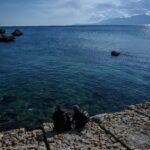 Avec des eaux à 32C, la tropicalisation méditerranéenne passe à la vitesse supérieure