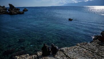 Avec des eaux à 32C, la tropicalisation méditerranéenne passe à la vitesse supérieure