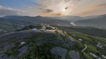 TOPSHOT - This photo taken on August 16, 2022 shows solar panels among Sichuan pepper field in Bijie, in China