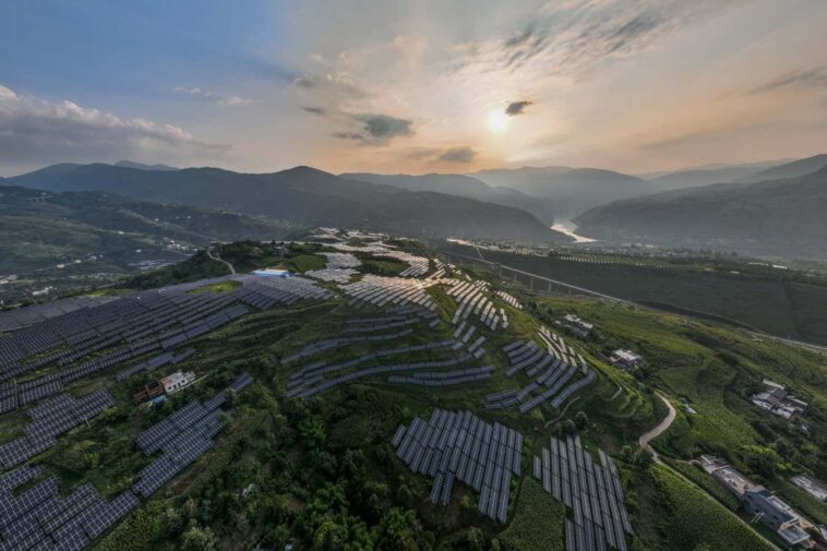 TOPSHOT - This photo taken on August 16, 2022 shows solar panels among Sichuan pepper field in Bijie, in China