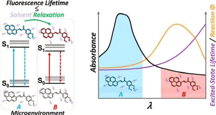 Briller une lumière sur un nouveau principe de la photochimie: comment les microenvironnements, pas seulement l'absorption, les réactions de forme
