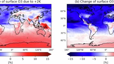 Chaleur, stress végétal et ozone: comment le changement climatique modifie l'air