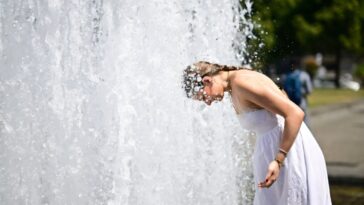 Cinq choses clés sur les vagues de chaleur en Europe