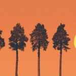 Collaborer avec les communautés autochtones peut conduire à une action climatique significative