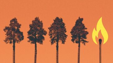 Collaborer avec les communautés autochtones peut conduire à une action climatique significative