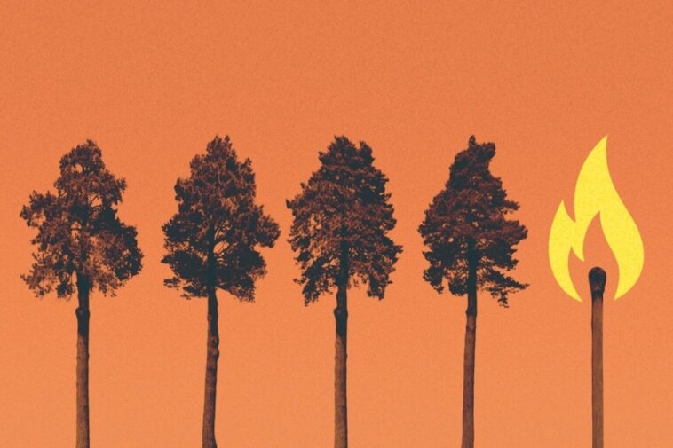 Collaborer avec les communautés autochtones peut conduire à une action climatique significative Collaborer avec les communautés autochtones peut conduire à une action climatique significative