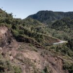 Combattez pour sauver les dernières forêts des comoros unit les agriculteurs, ONG