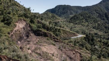 Combattez pour sauver les dernières forêts des comoros unit les agriculteurs, ONG