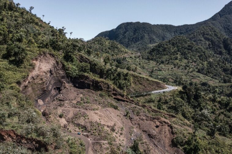 Combattez pour sauver les dernières forêts des comoros unit les agriculteurs, ONG