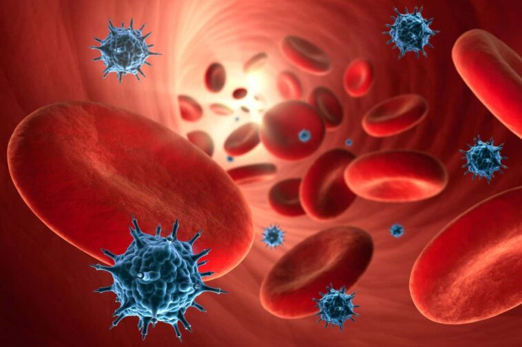 Covid-19 semble vieillir les vaisseaux sanguins - mais seulement chez les femmes