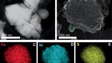 Décodage des indices dans la composition de surface de Bennu pour donner un sens aux astéroïdes éloignés