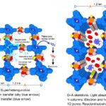 Des cadres organiques covalents exploitent les états singulets et triplet pour la photocatalyse