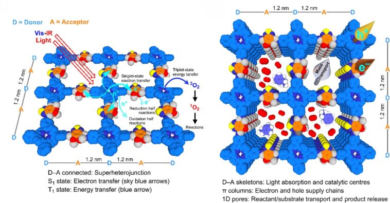 Des cadres organiques covalents exploitent les états singulets et triplet pour la photocatalyse
