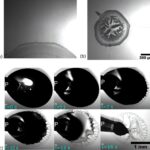 Des plantes de lanceurs aux presses d'impression, l'étude montre comment les films collants peuvent être apprivoisés