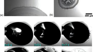 Des plantes de lanceurs aux presses d'impression, l'étude montre comment les films collants peuvent être apprivoisés