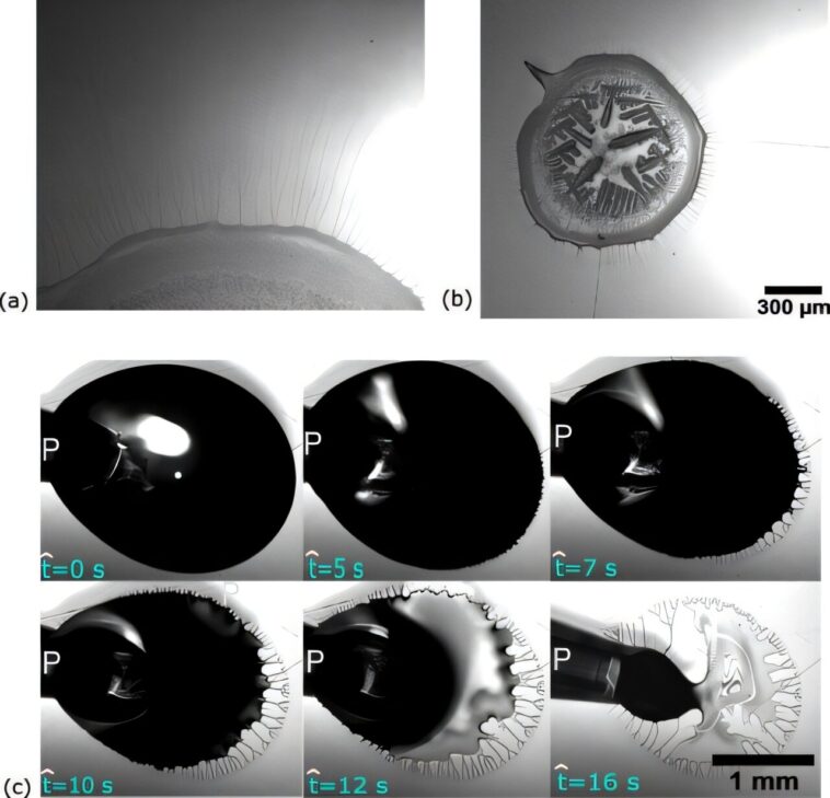 Des plantes de lanceurs aux presses d'impression, l'étude montre comment les films collants peuvent être apprivoisés Des plantes de lanceurs aux presses d'impression, l'étude montre comment les films collants peuvent être apprivoisés