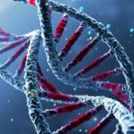 Différences génétiques clés trouvées chez les personnes atteintes du syndrome de fatigue chronique