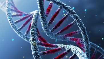 Différences génétiques clés trouvées chez les personnes atteintes du syndrome de fatigue chronique