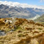 Southern Lakes Sanctuary field rangers install a line of stoat traps in the Kea Basin. Stoats are a particular threat to indigenous alpine species including Kea, Rock Wren as well as the endangered flightless Takahe which also spend time in alpine areas. Southern Lakes Sanctuary is a consortium of regional conservation groups involved in the suppression of predators that threaten New Zealand