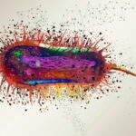 E. coli génome a été refait avec 101 000 modifications à son ADN