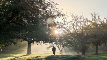Figure walking in sunlit park Description Figure walking in sunlit park. England, UK