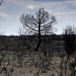 Espagne Heatwave était «le plus intense enregistré»