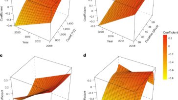 Exposition répétée aux vagues de chaleur liée au vieillissement accéléré, avec les travailleurs ruraux et manuels les plus touchés