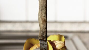 Habitudes frugales, pas correctes rapides, clé pour lutter contre les déchets alimentaires mondiaux, les résultats de l'étude