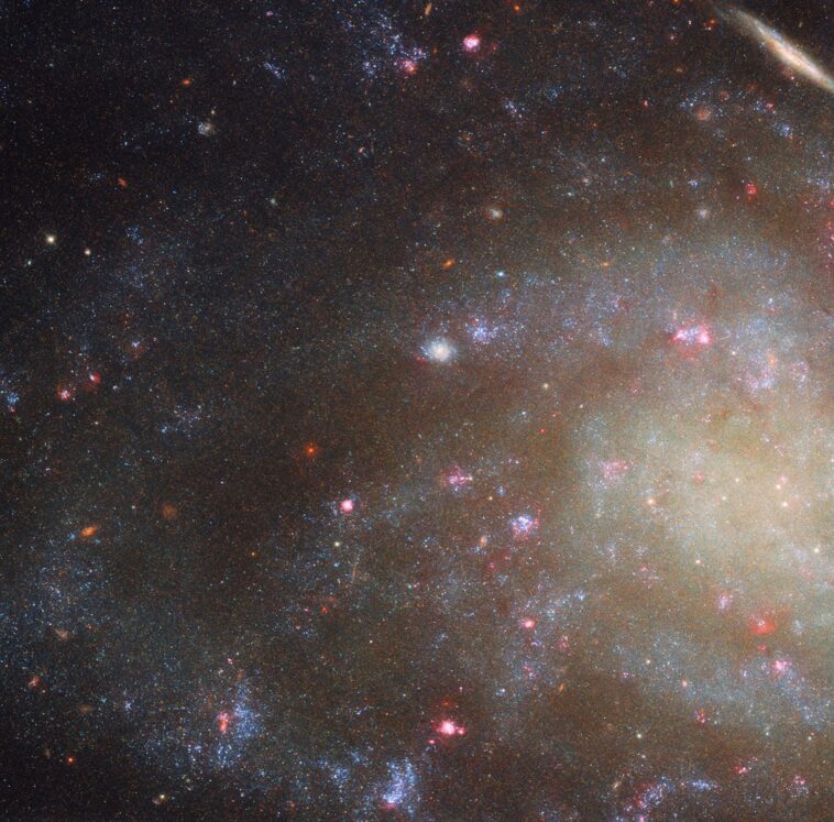 Hubble examine la faible luminosité, Galaxie à intérêt élevé