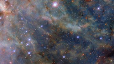 Hubble révèle des détails complexes dans les nuages d'étoiles de la nébuleuse de Tarantula