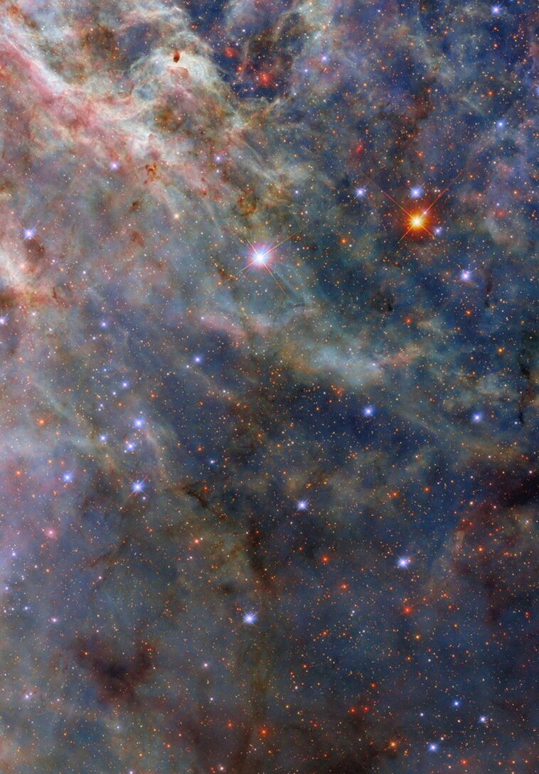 Hubble révèle des détails complexes dans les nuages d'étoiles de la nébuleuse de Tarantula