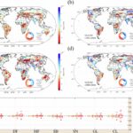 L'écologisation globale provoque une perte d'humidité du sol importante, constatation de l'étude