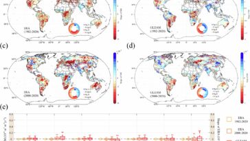 L'écologisation globale provoque une perte d'humidité du sol importante, constatation de l'étude