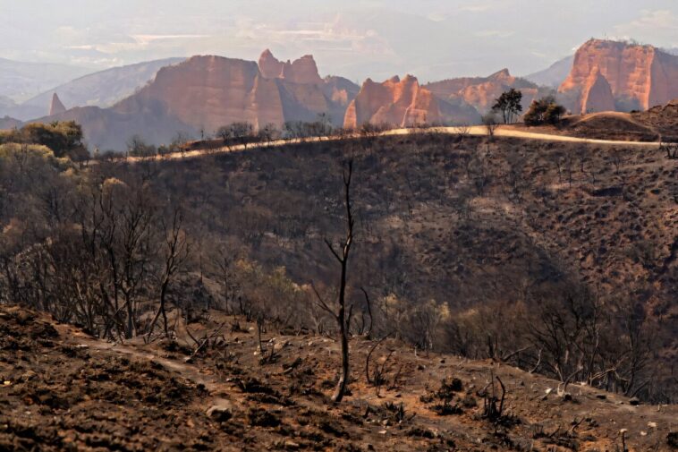 L'enfant décède en Italie alors que les ondes de chaleur européennes établissent des records et étincelle les incendies de forêt