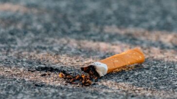 L'étude analyse les concentrations de nicotine dans les eaux de Berlin