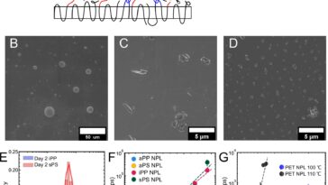 L'étude de la façon dont la forme micro- et nanoplastique peut aider à réduire les dommages futurs pour la santé et l'environnement