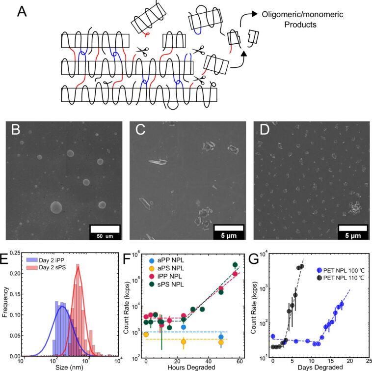 L'étude de la façon dont la forme micro- et nanoplastique peut aider à réduire les dommages futurs pour la santé et l'environnement