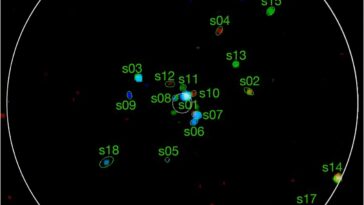 L'étude explore les sources de rayons X en grappe globulaire NGC 6528