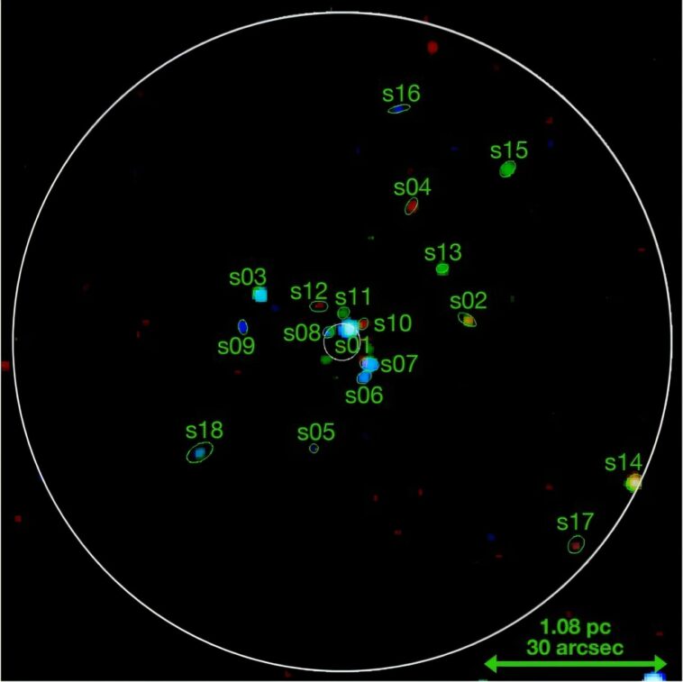 L'étude explore les sources de rayons X en grappe globulaire NGC 6528