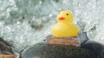 L'hydrogel super bâton est 10 fois plus fort que les autres colles sous l'eau