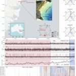 La compétition mondiale de référence révèle que les modèles de rivage sont prêts pour la planification côtière du monde réel