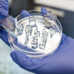 La «glace de gelée» réutilisable garde les choses froides - sans eau de fusion La «glace de gelée» réutilisable garde les choses froides - sans eau de fusion