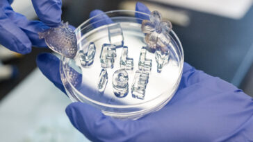 La «glace de gelée» réutilisable garde les choses froides - sans eau de fusion