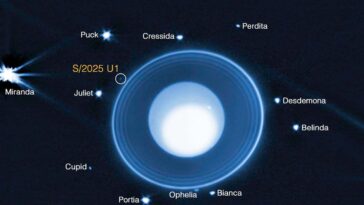 La nouvelle lune découverte en orbite uranus est sa plus petite