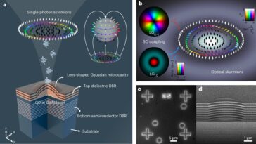 La première réalisation expérimentale des skyrmions optiques quantiques dans un système QED semi-conducteur