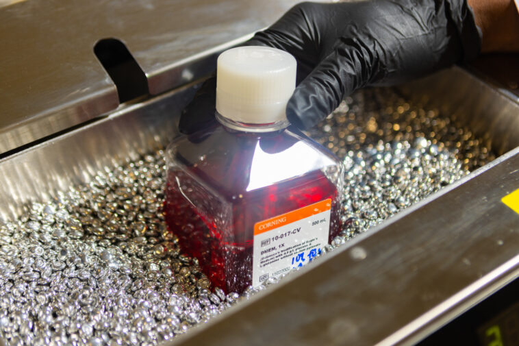 La vitesse n'est pas tout en ce qui concerne les médicaments inhibiteurs covalents, les découvertes de l'étude La vitesse n'est pas tout en ce qui concerne les médicaments inhibiteurs covalents, les découvertes de l'étude