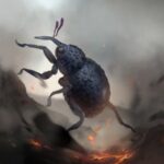 Le Phoenix n'est pas la seule bestiole à survivre aux flammes