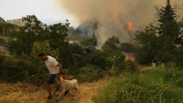 Le changement climatique a rendu les incendies de forêt mortels en Turquie, en Grèce et à Chypre plus féroce, Study trouve une étude