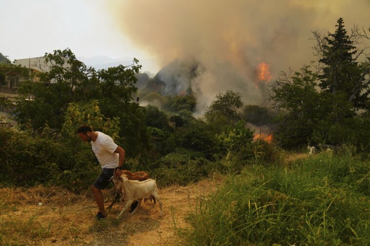 Le changement climatique a rendu les incendies de forêt mortels en Turquie, en Grèce et à Chypre plus féroce, Study trouve une étude