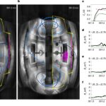 Le dispositif expérimental montre comment les faisceaux d'électrons reconfigurent la structure du plasma